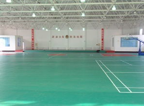 天津運動地板、廊坊PVC地板、唐山塑膠地板與滄州球場地板廠家圖片展示